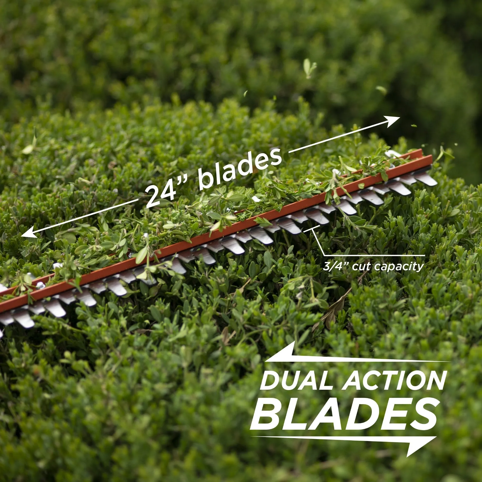 20V Leaf Blower/Hedge Trimmer Set
