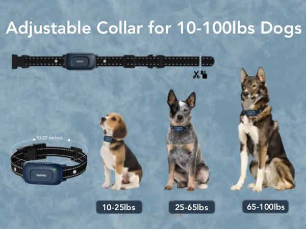 356/357 Dog Training Collar (Small/Medium Breed)