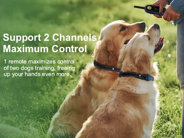 356/357 Dog Training Collar (Small/Medium Breed)