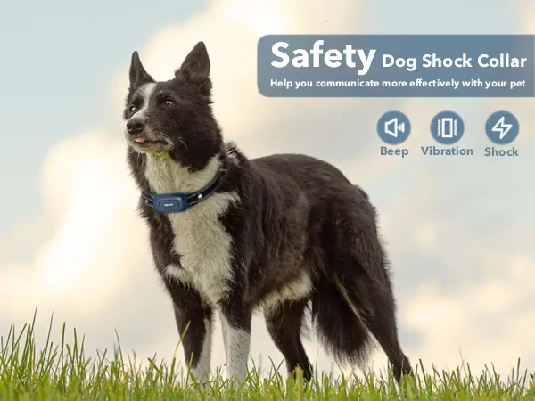 356/357 Dog Training Collar (Small/Medium Breed)