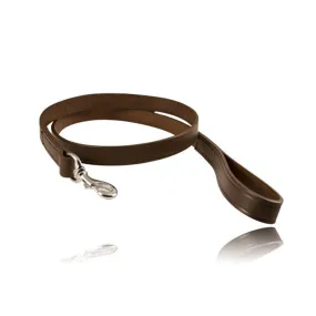 Boston Leather 60½ Agitation K-9 Lead