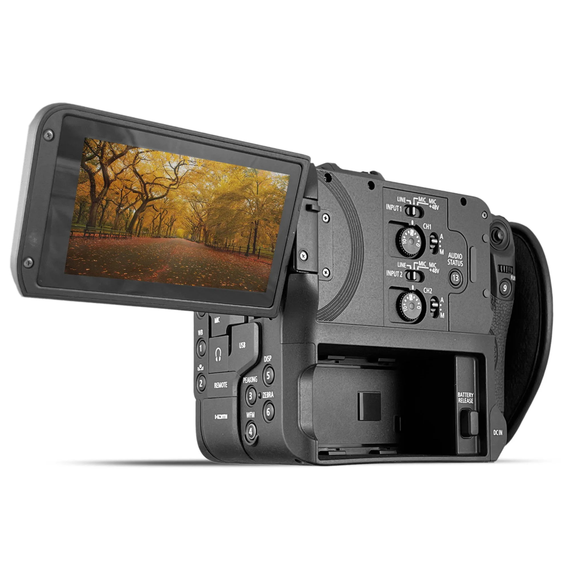 Canon EOS C70 Cinema Camera   128GB Card  Case   More:  Advanced Bundle