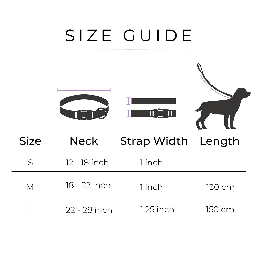 Dear Pet Classic Maroon Dog Collar & Leash Set