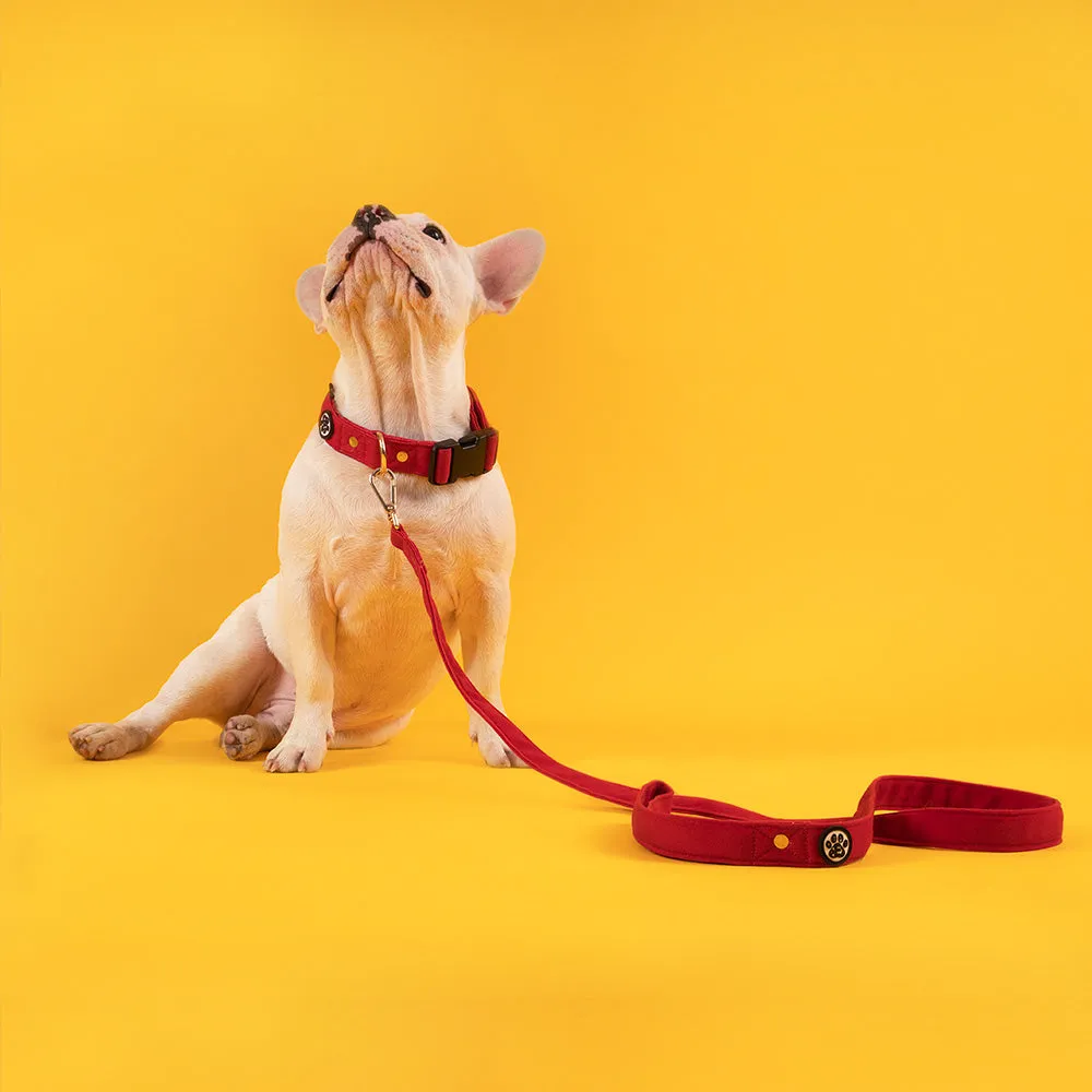 Dear Pet Classic Maroon Dog Collar