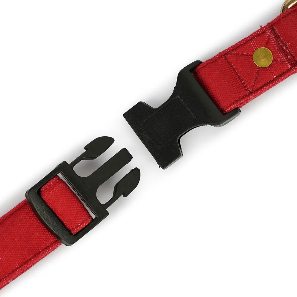 Dear Pet Classic Maroon Dog Collar