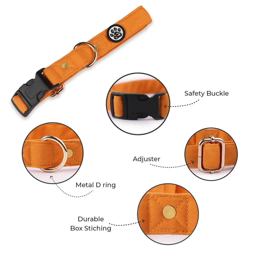 Dear Pet Classic Mustard Dog Collar