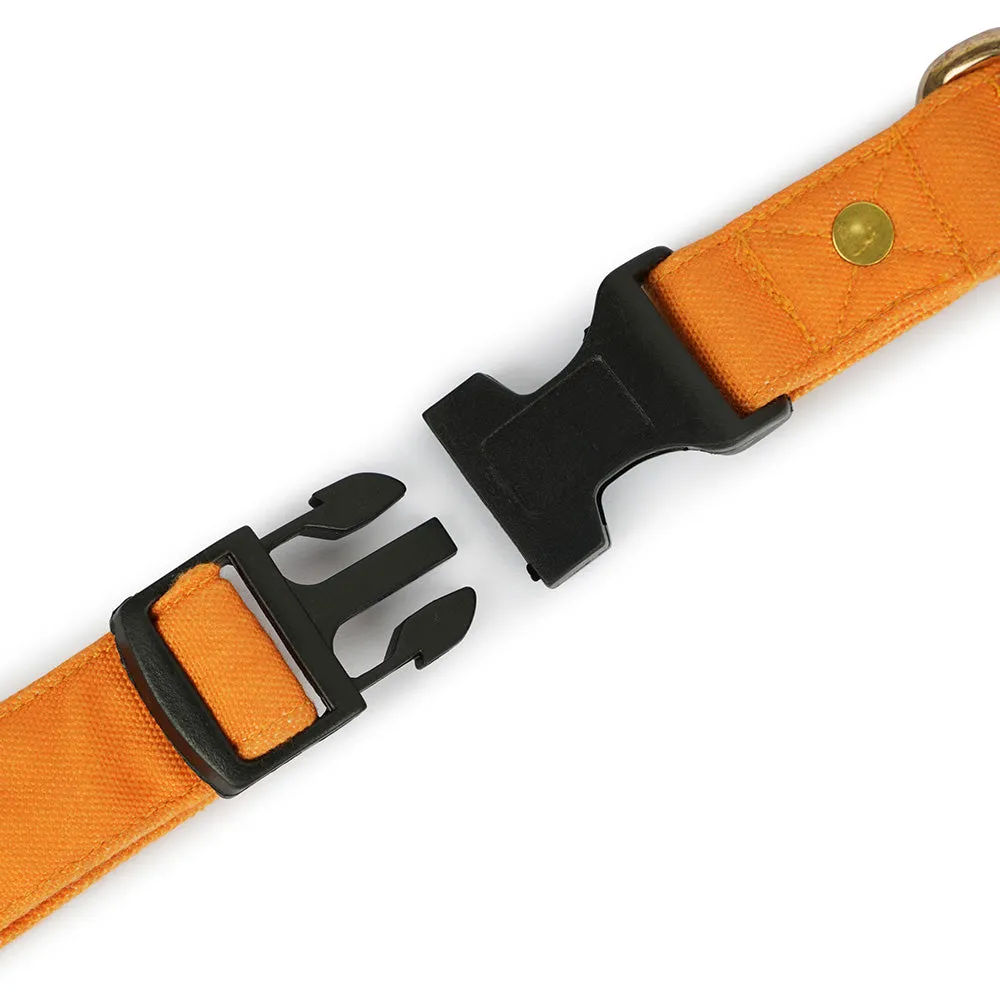 Dear Pet Classic Mustard Dog Collar