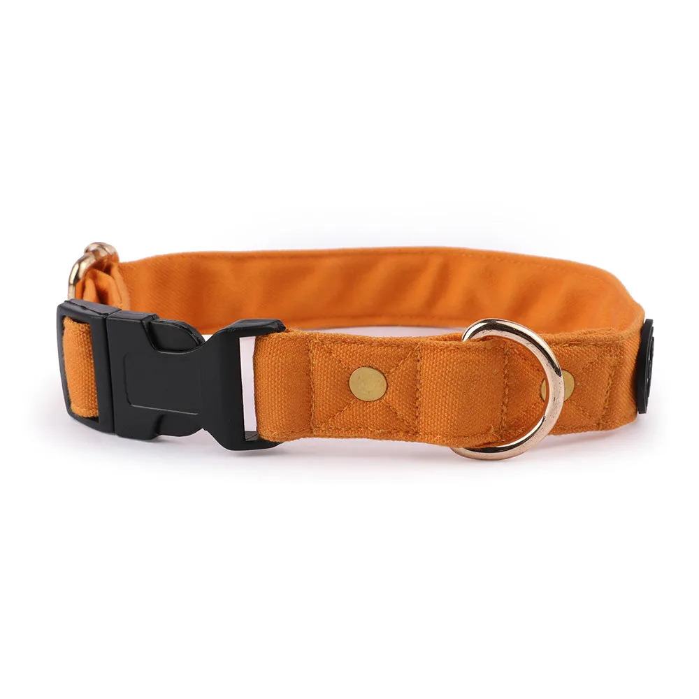 Dear Pet Classic Mustard Dog Collar