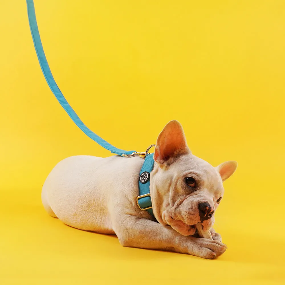 Dear Pet Classic Sky Blue Dog Collar