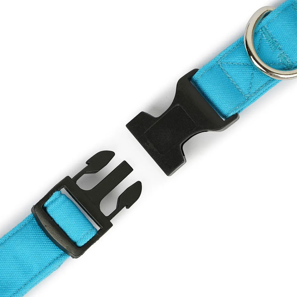 Dear Pet Classic Sky Blue Dog Collar