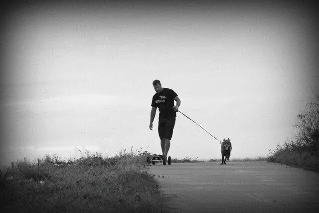 EzyDog Cujo Bungee Dog Leash