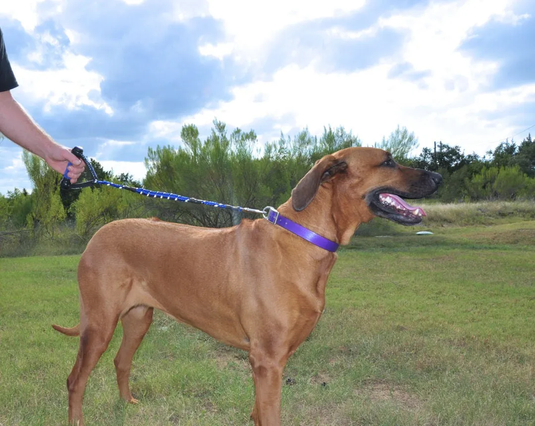 EzyDog Cujo Bungee Dog Leash