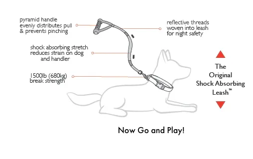 Ezydog Cujo Shock Absorbing Leash