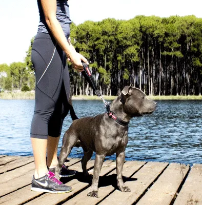 Ezydog Neo Mongrel Leash