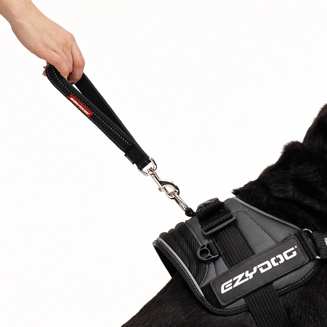 EzyDog Neo Mongrel Leash
