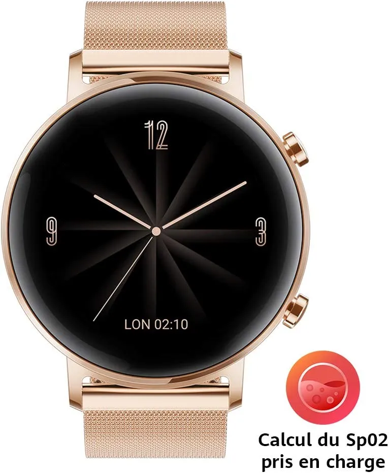 HUAWEI WATCH GT 2 (42MM)