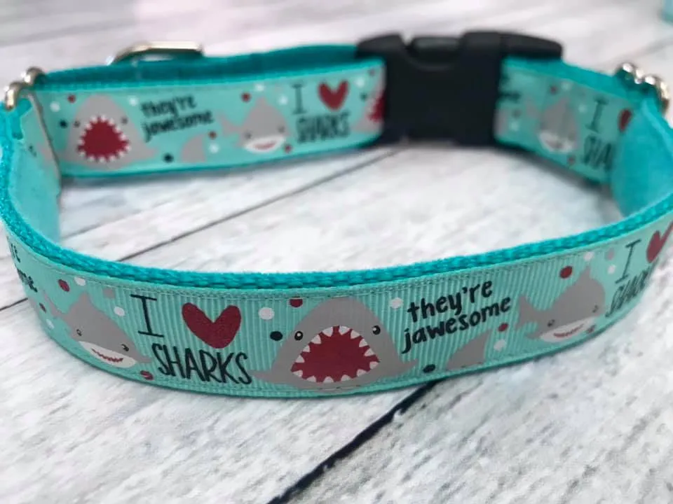 I <3 Sharks Aqua 1 Inch Martingale Combo 10-14"