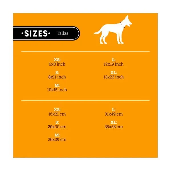 Kanu Pet Animal Print Combo Dog Collar & Leash