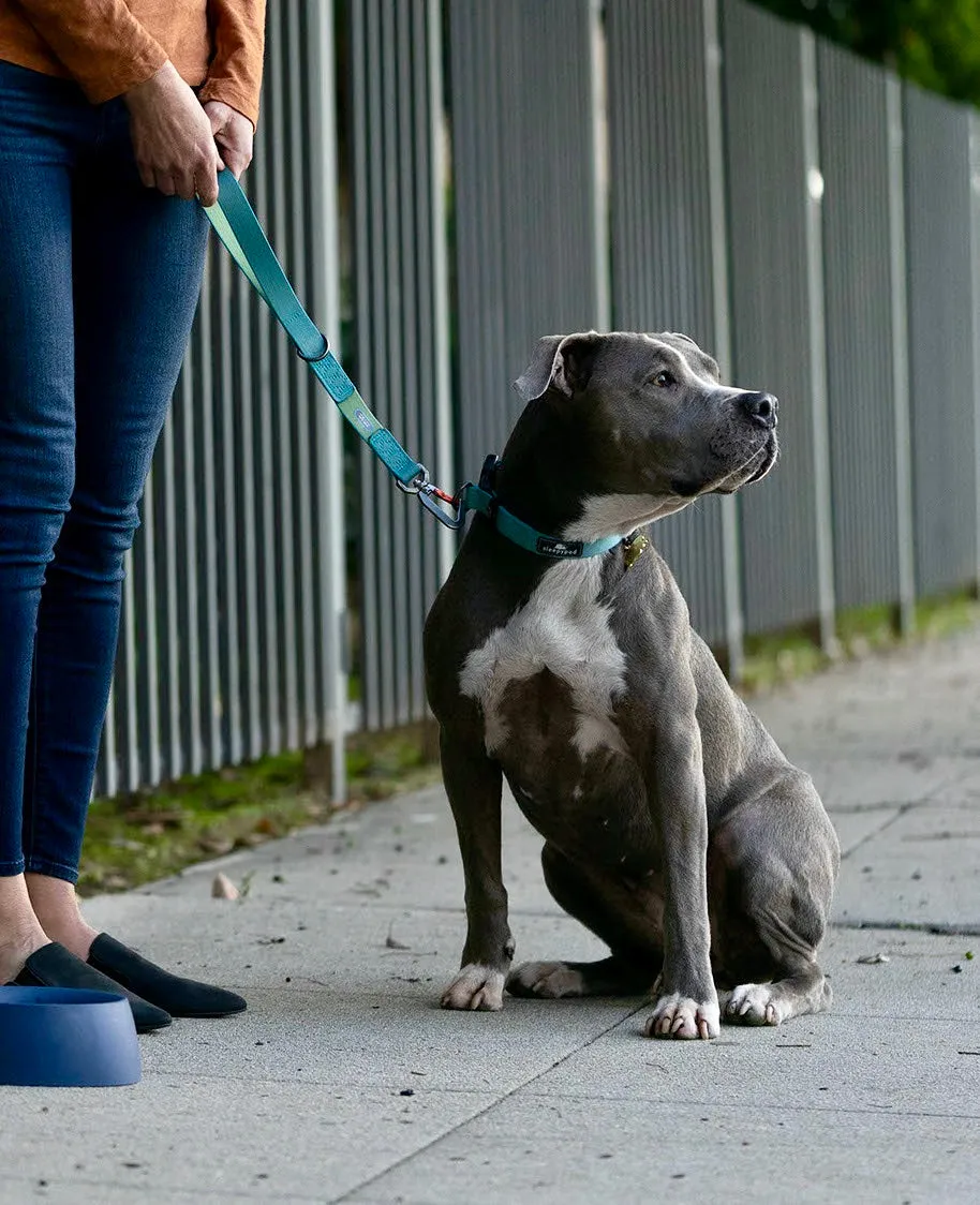 Locking Martingale Collar
