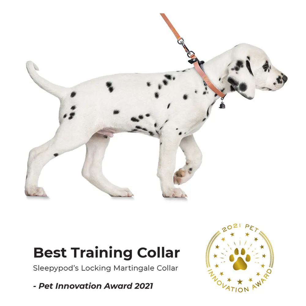Locking Martingale Collar
