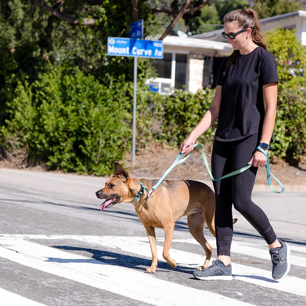 Locking Martingale Collar
