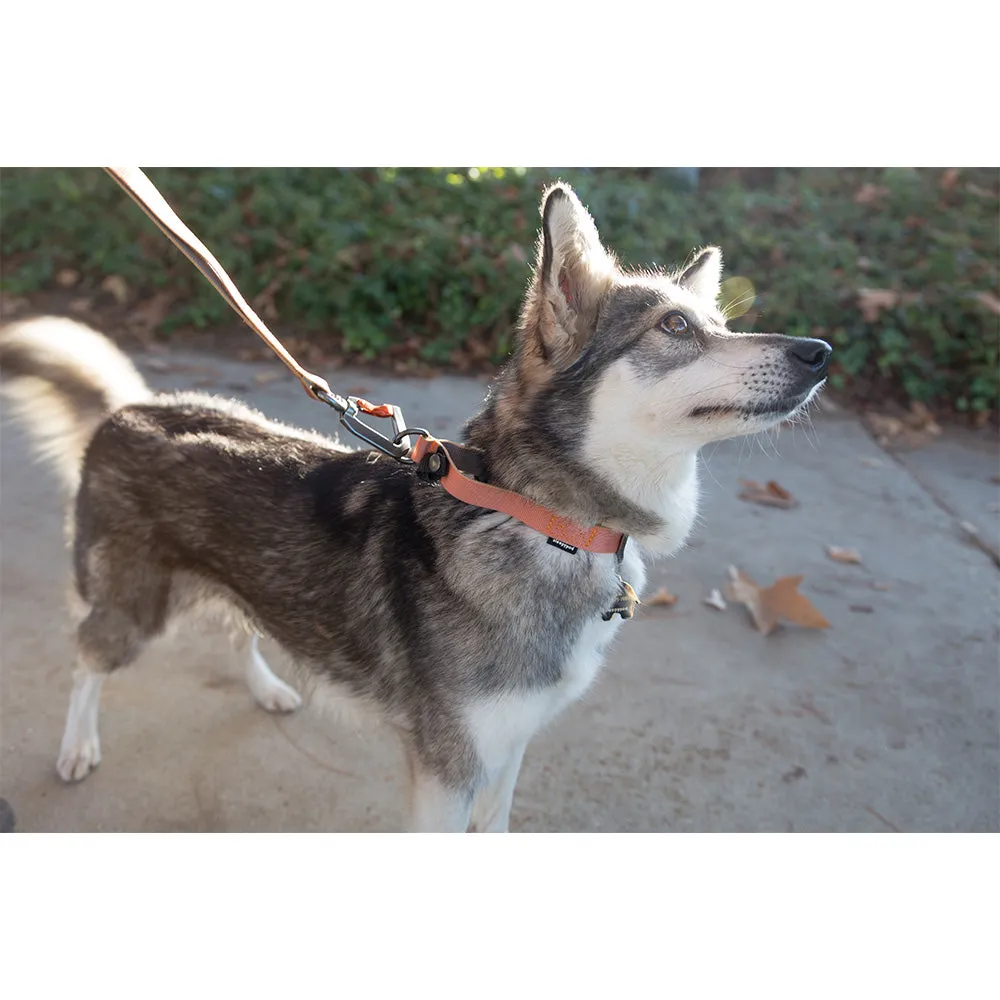 Locking Martingale Collar