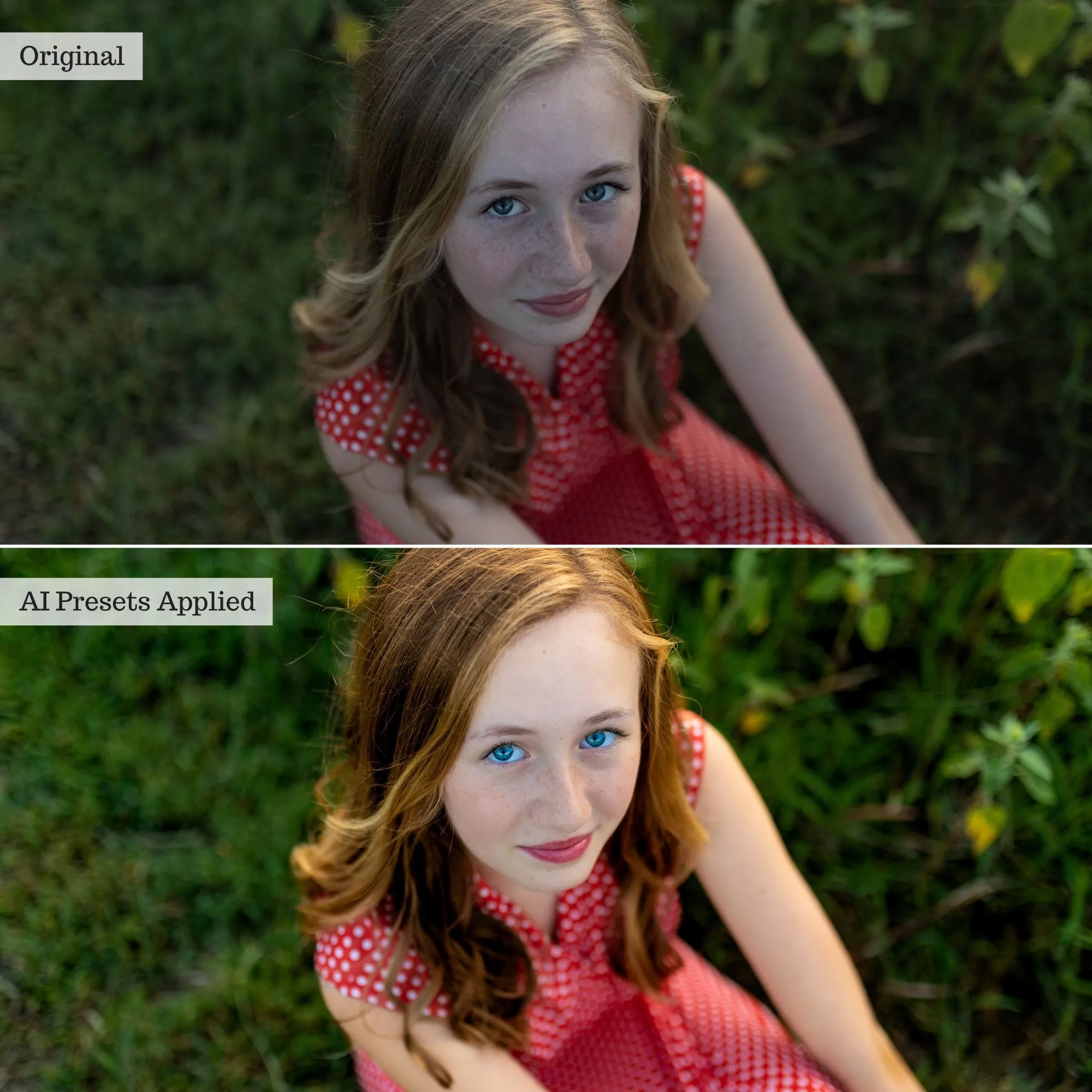 Luxe Quick Fix Artificial Intelligence (AI) Toolkit Lightroom Presets – Desktop