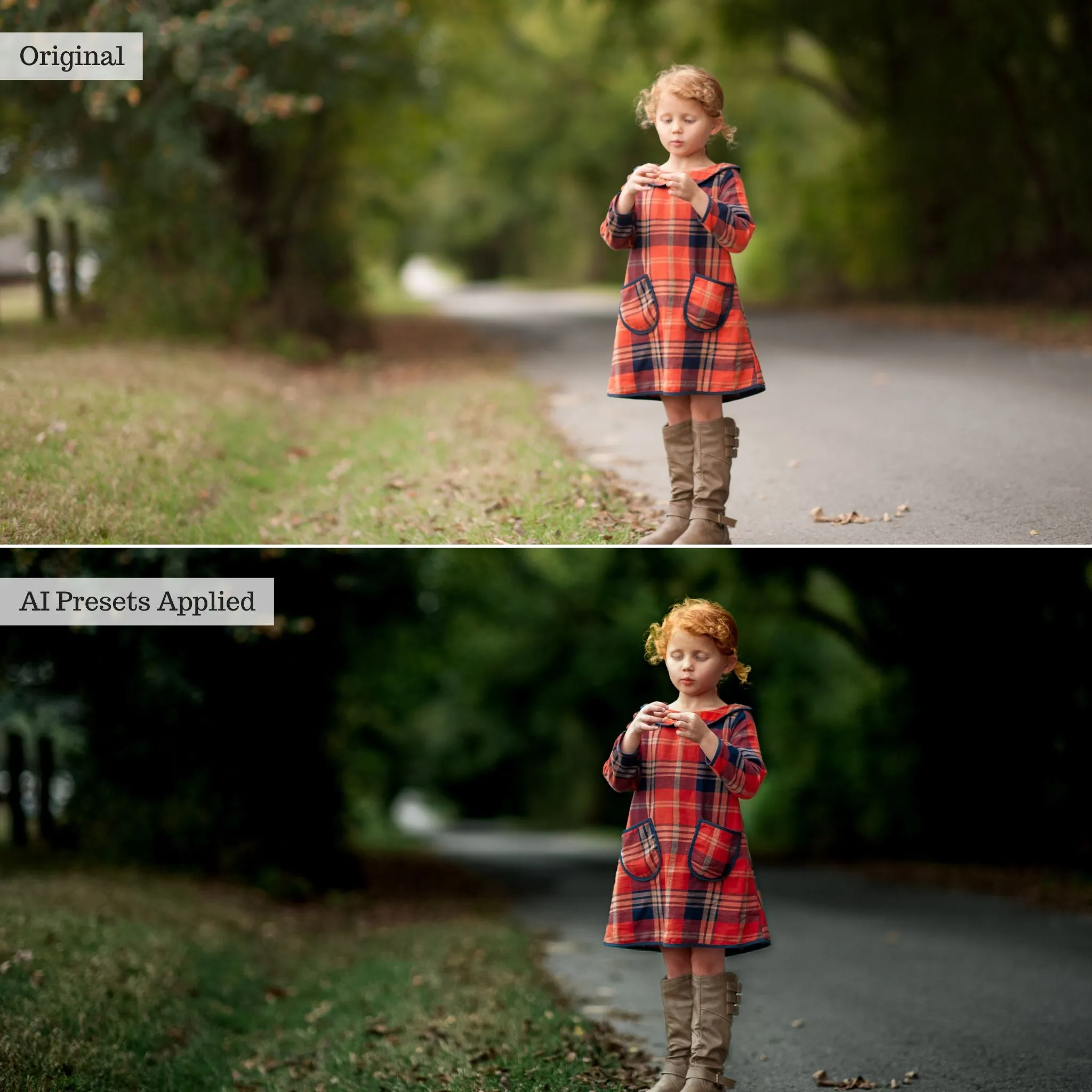 Luxe Quick Fix Artificial Intelligence (AI) Toolkit Lightroom Presets – Desktop