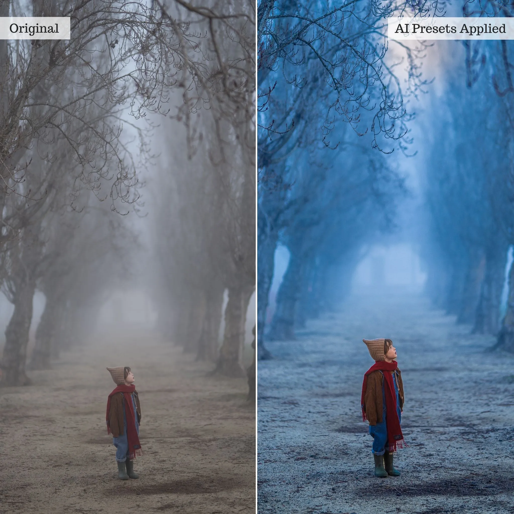 Luxe Quick Fix Artificial Intelligence (AI) Toolkit Lightroom Presets – Desktop