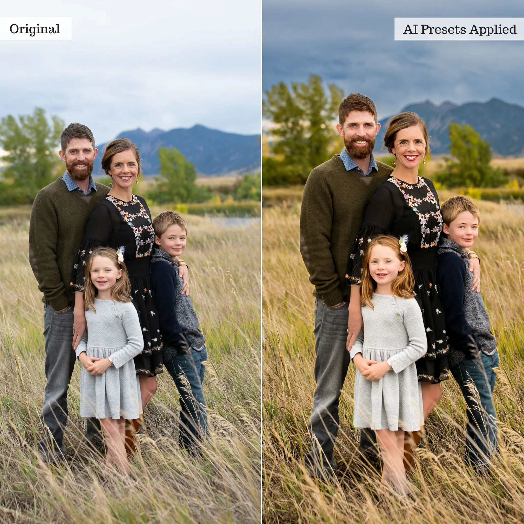 Luxe Quick Fix Artificial Intelligence (AI) Toolkit Lightroom Presets – Desktop