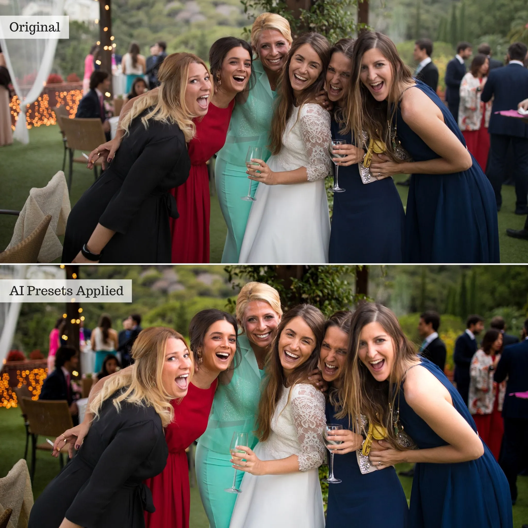 Luxe Quick Fix Artificial Intelligence (AI) Toolkit Lightroom Presets – Desktop