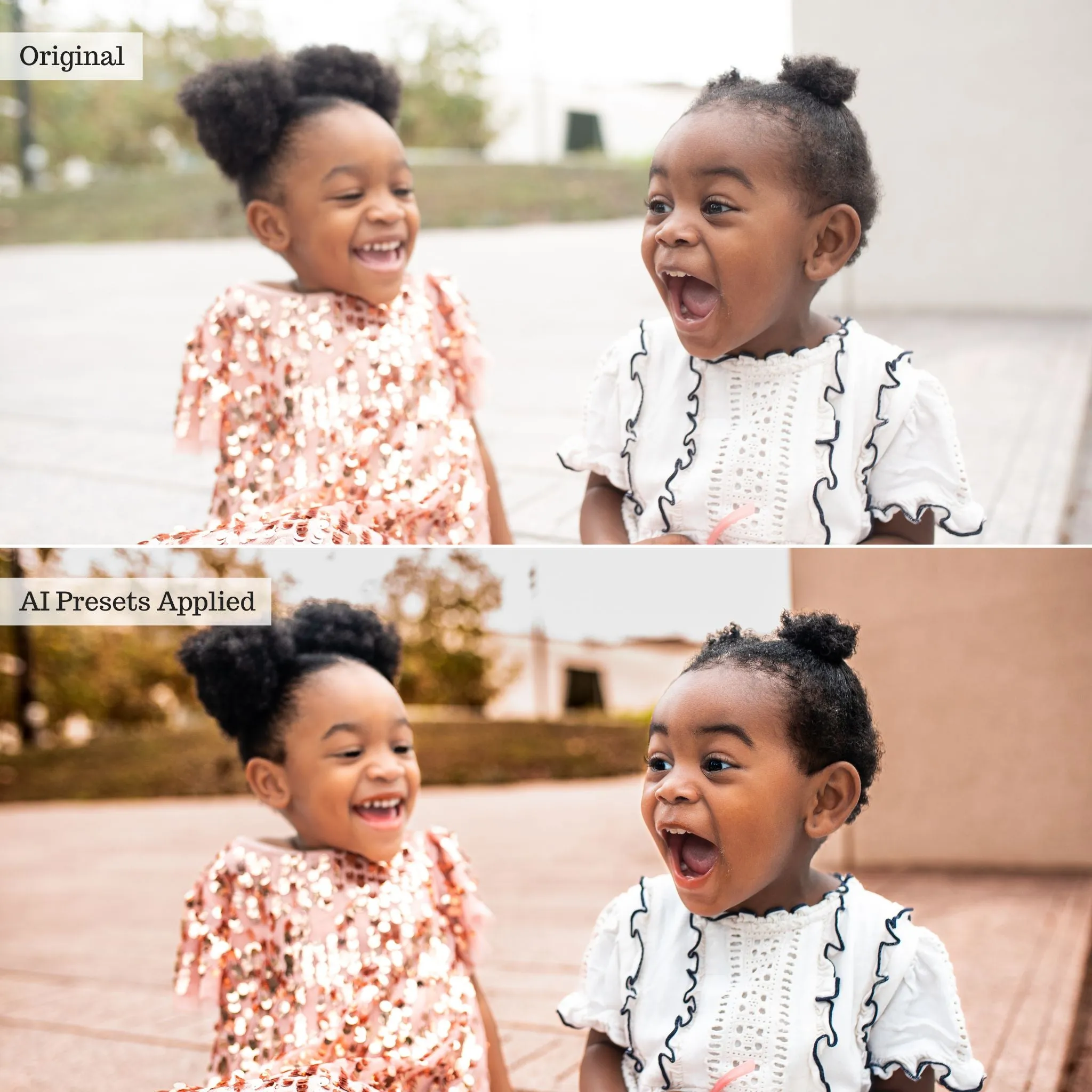 Luxe Quick Fix Artificial Intelligence (AI) Toolkit Lightroom Presets – Desktop