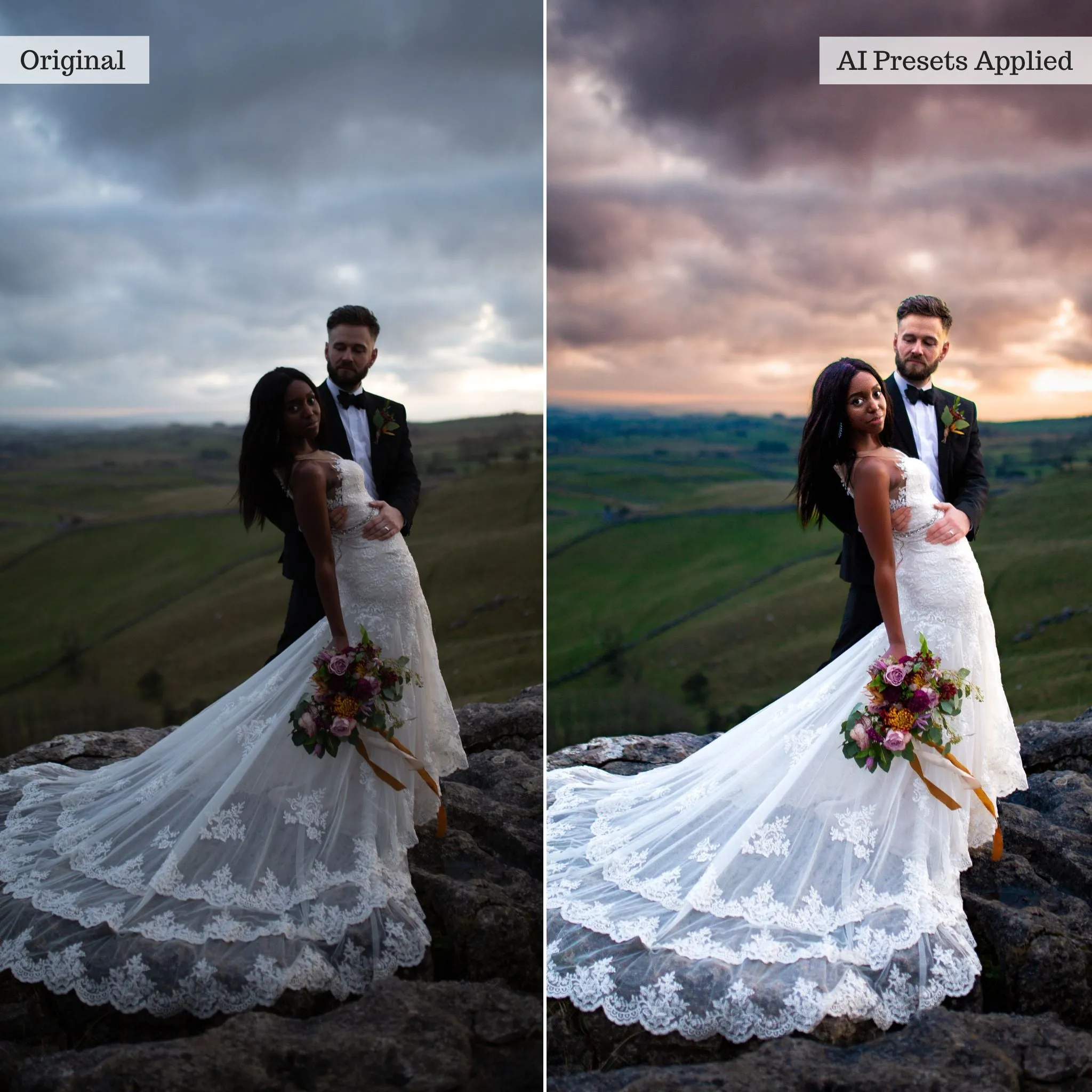 Luxe Quick Fix Artificial Intelligence (AI) Toolkit Lightroom Presets – Desktop