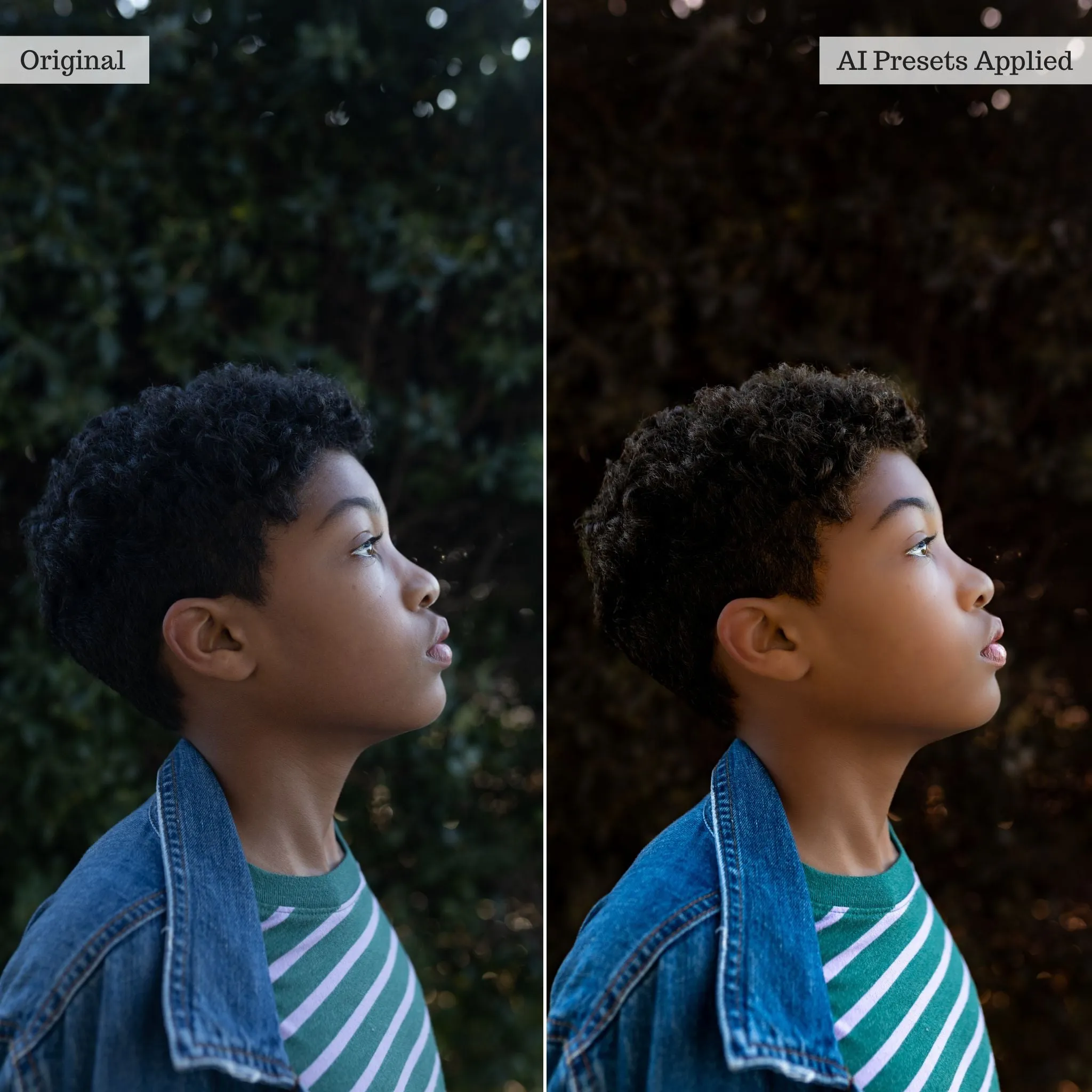 Luxe Quick Fix Artificial Intelligence (AI) Toolkit Lightroom Presets – Desktop