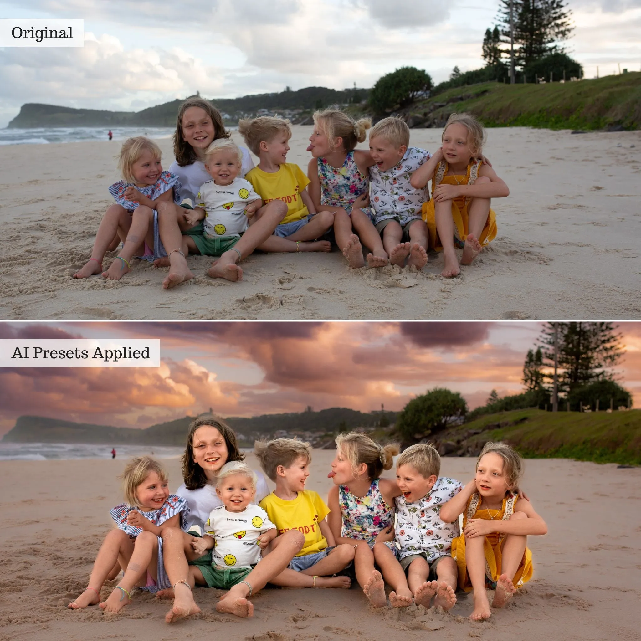 Luxe Quick Fix Artificial Intelligence (AI) Toolkit Lightroom Presets – Desktop