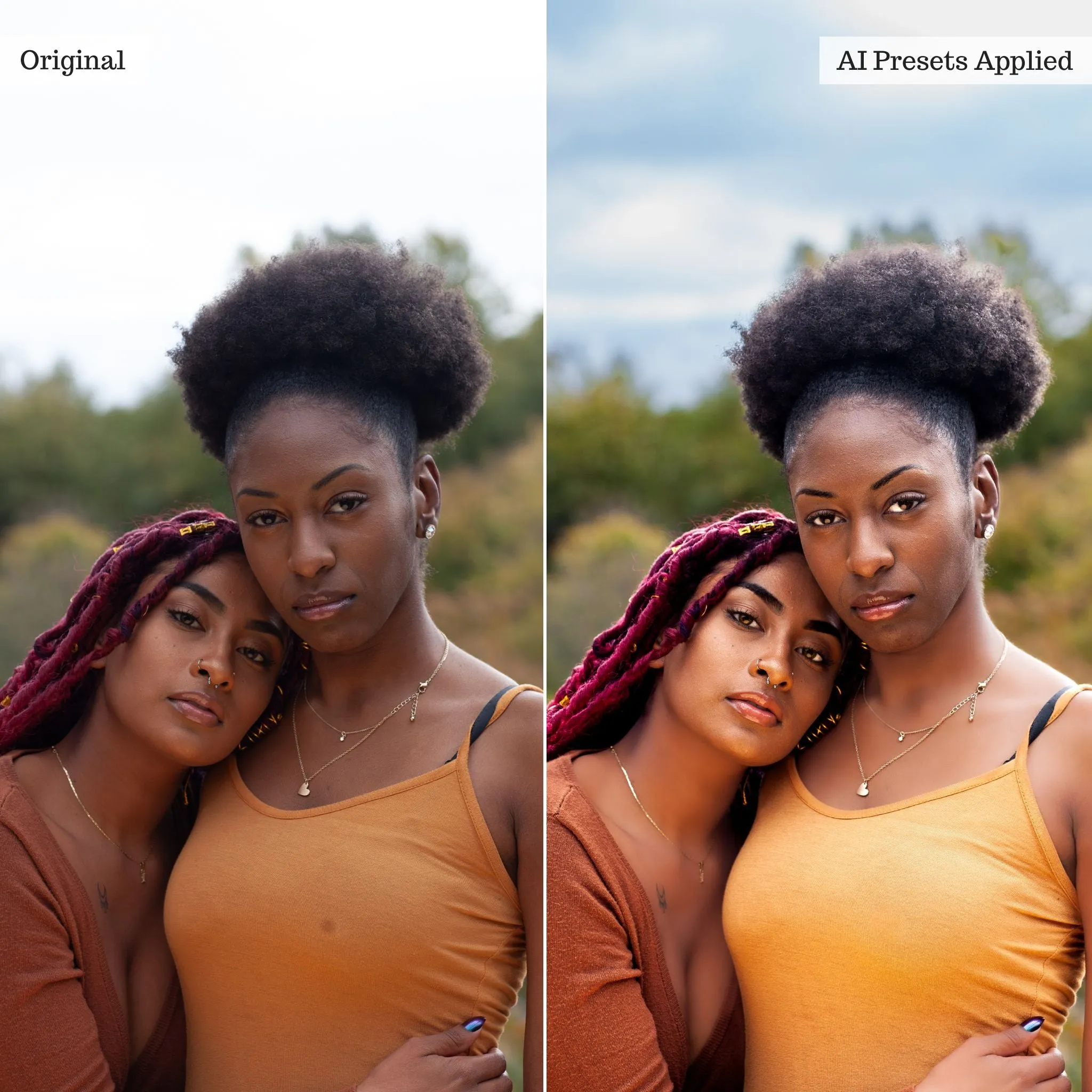 Luxe Quick Fix Artificial Intelligence (AI) Toolkit Lightroom Presets – Desktop