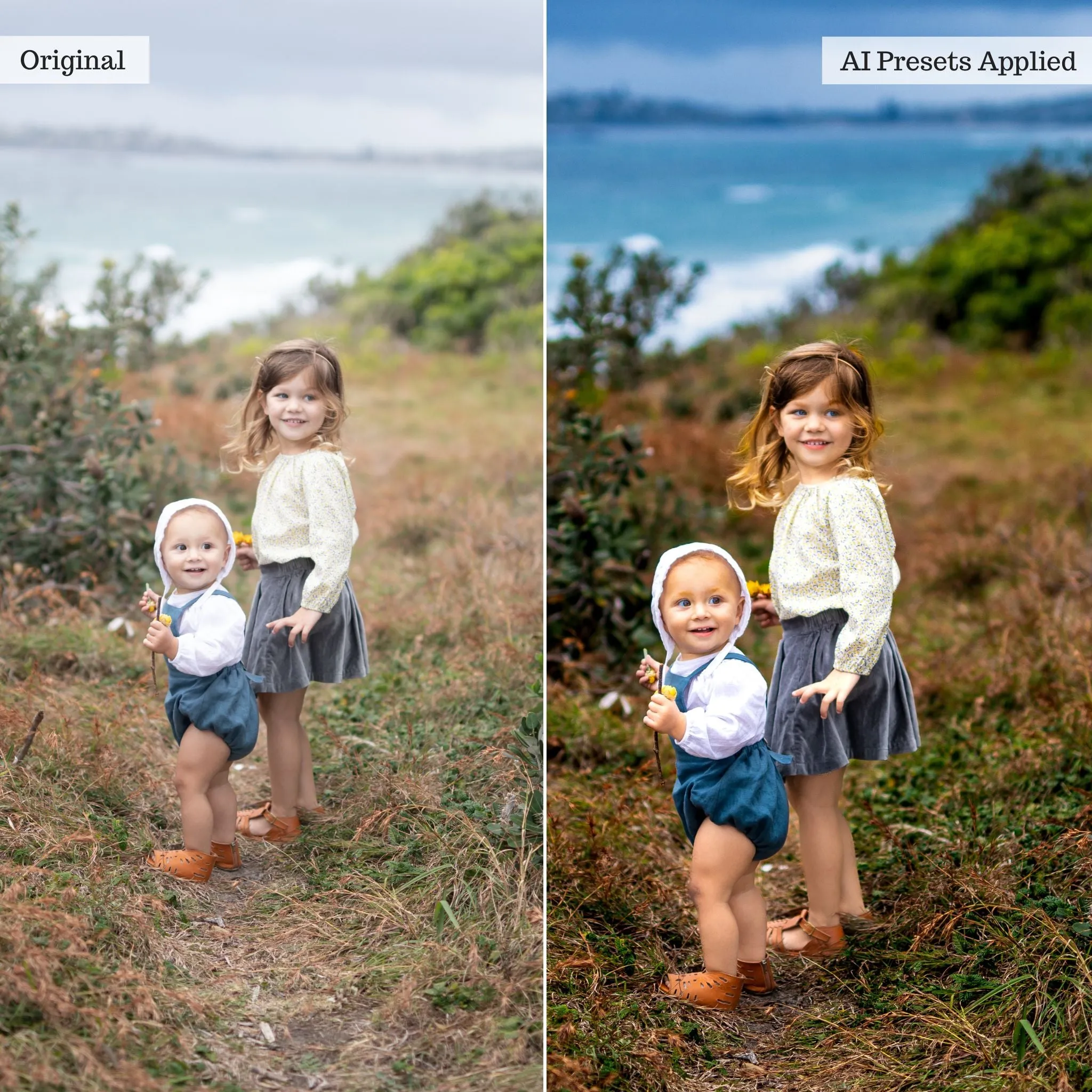 Luxe Quick Fix Artificial Intelligence (AI) Toolkit Lightroom Presets – Desktop