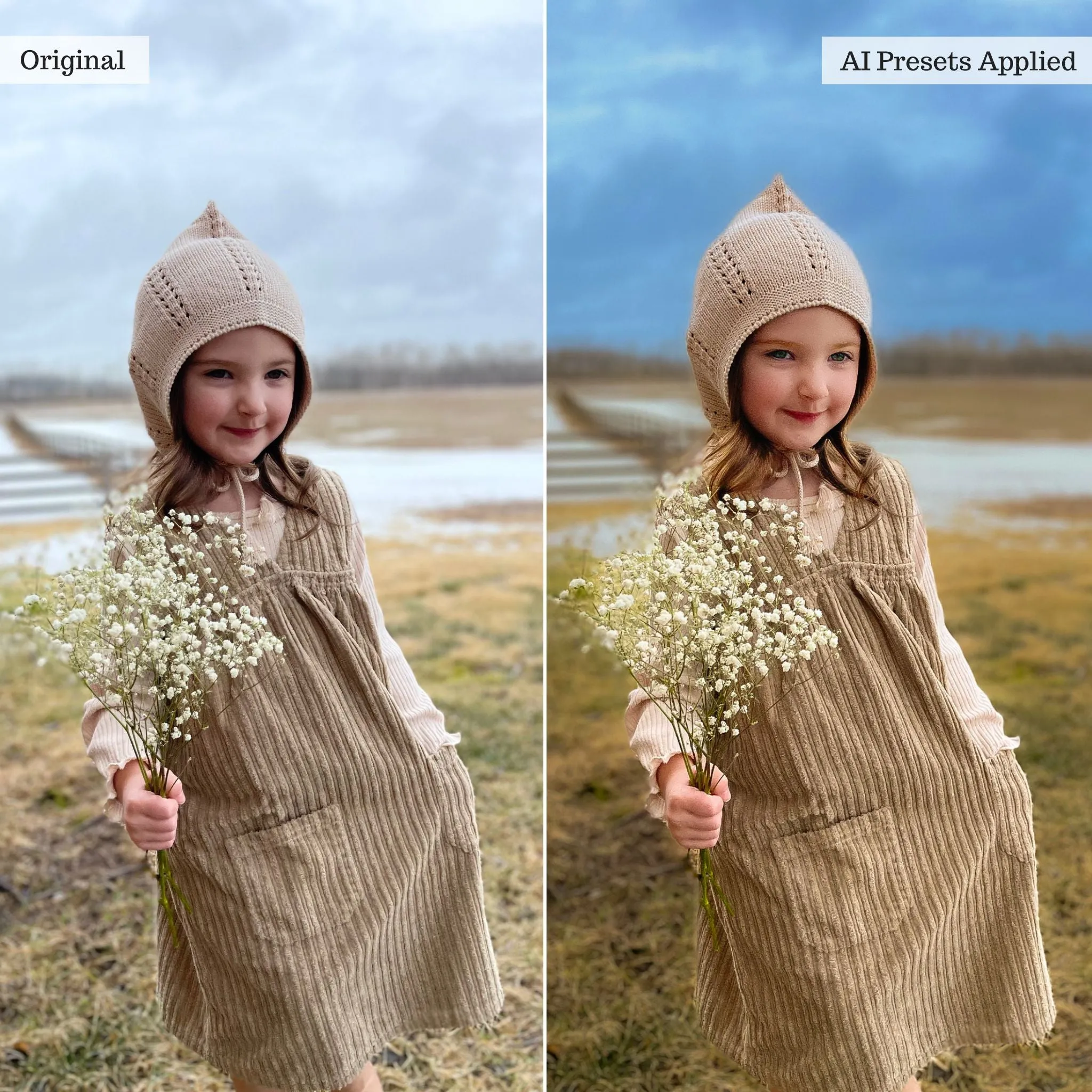 Luxe Quick Fix Artificial Intelligence (AI) Toolkit Lightroom Presets – Desktop