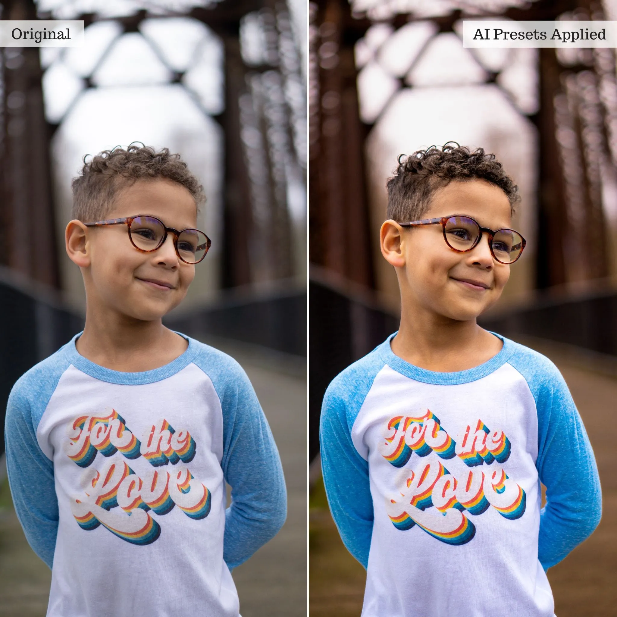 Luxe Quick Fix Artificial Intelligence (AI) Toolkit Lightroom Presets – Desktop