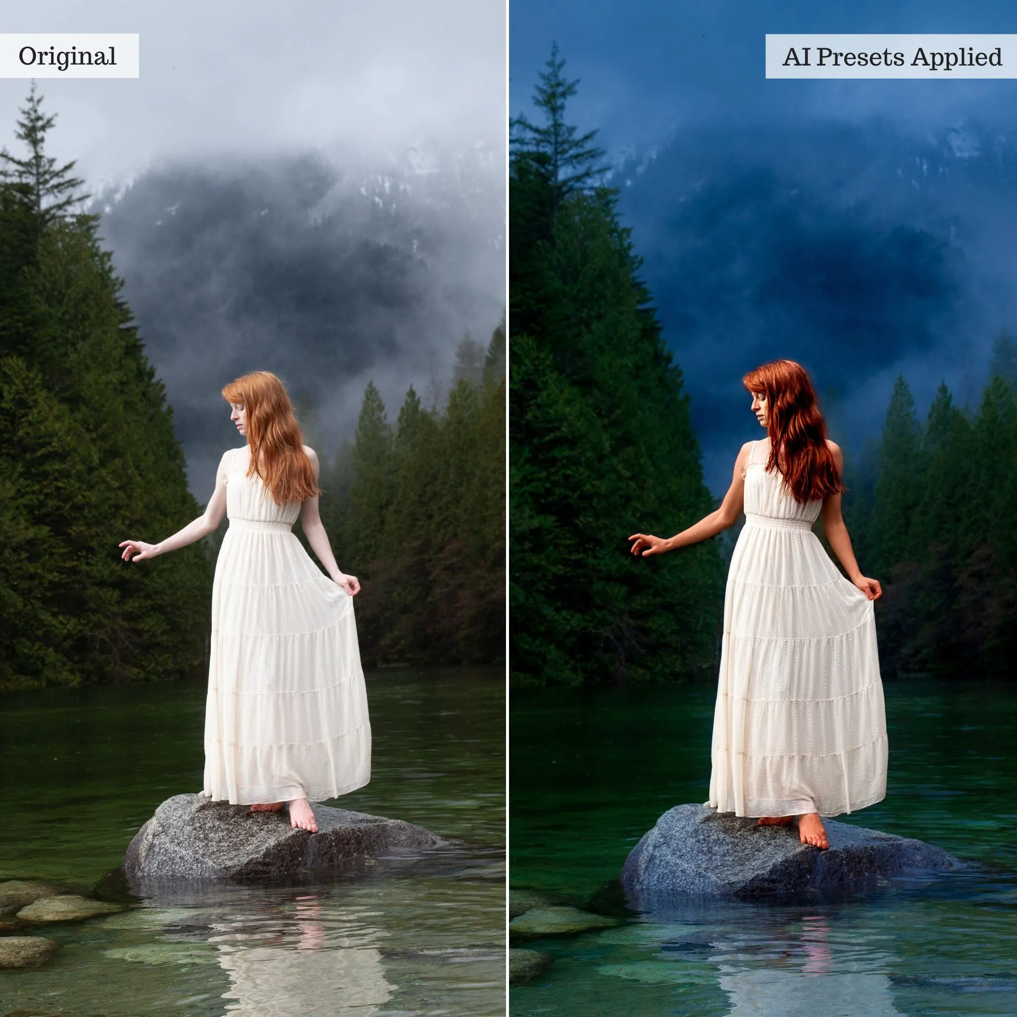 Luxe Quick Fix Artificial Intelligence (AI) Toolkit Lightroom Presets – Desktop