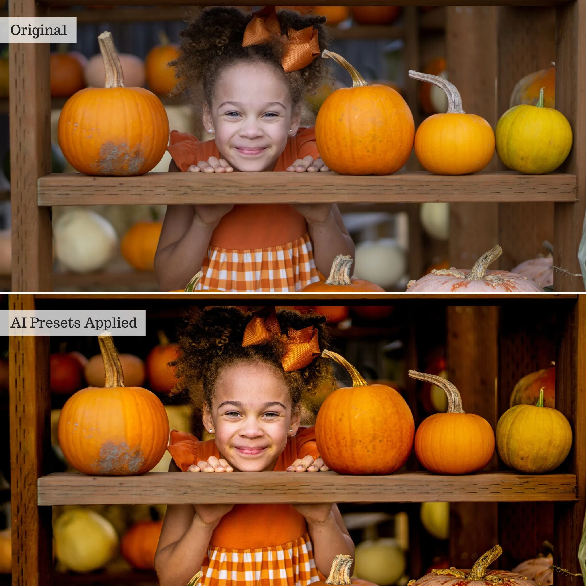 Luxe Quick Fix Artificial Intelligence (AI) Toolkit Lightroom Presets – Desktop