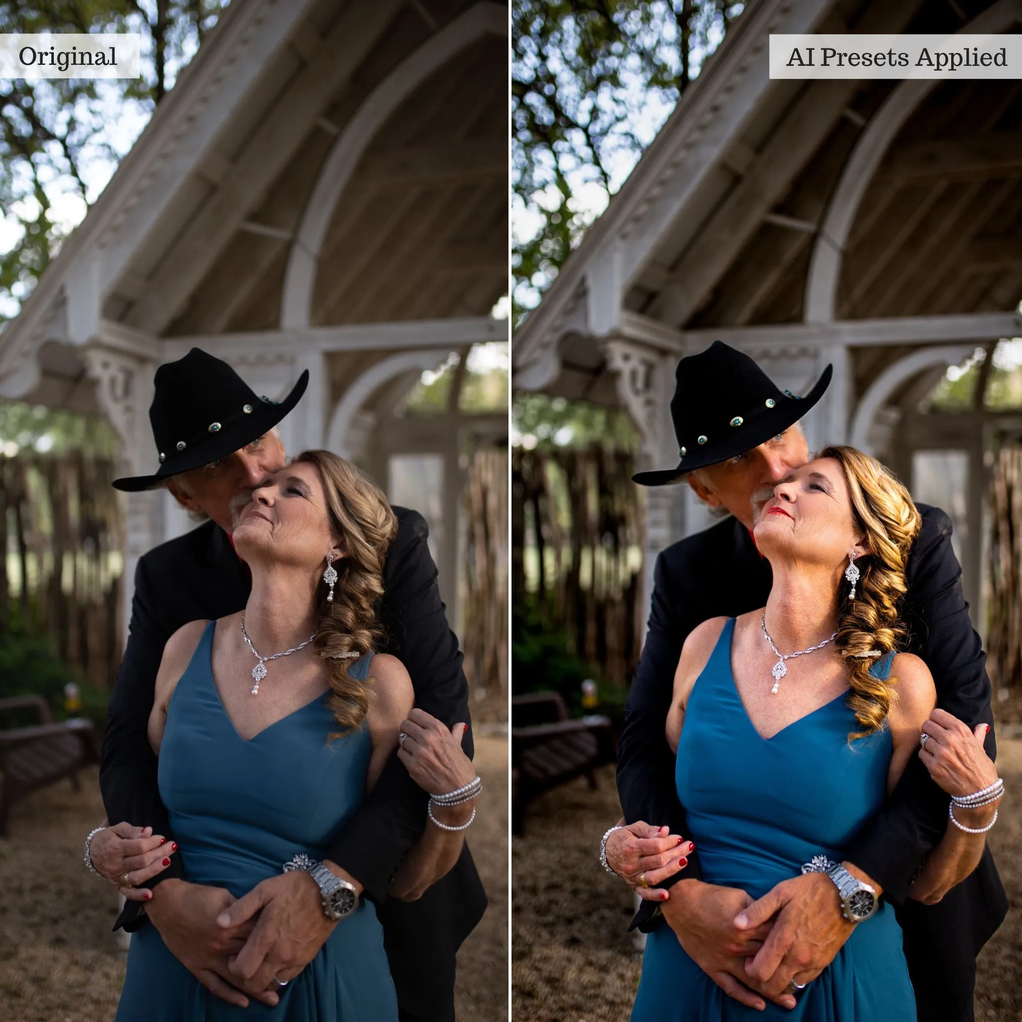 Luxe Quick Fix Artificial Intelligence (AI) Toolkit Lightroom Presets – Desktop