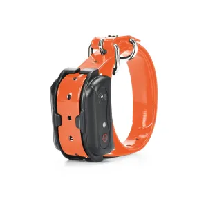 M919 Extra Dog Collar - Extra small dog training collar