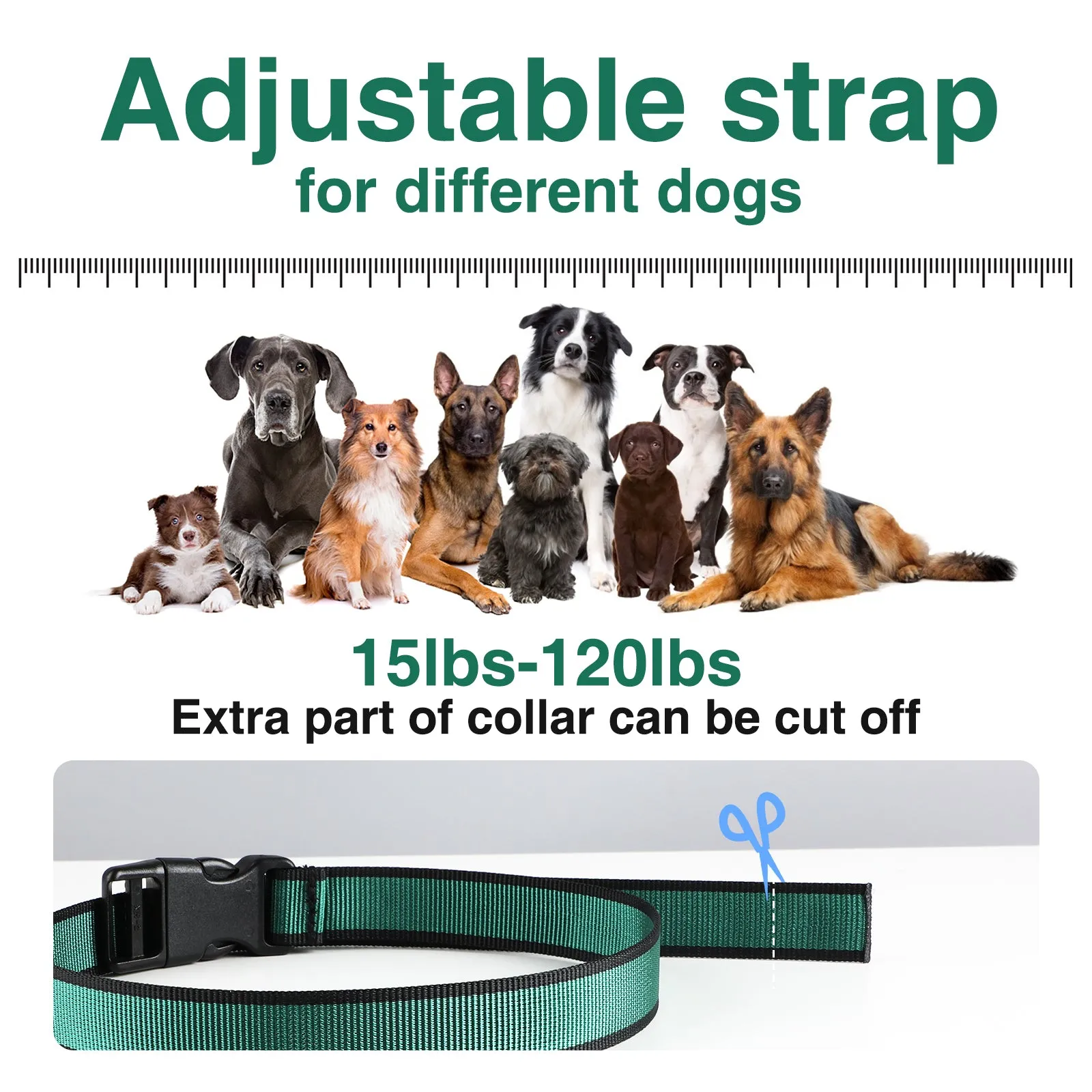MASBRILL Dog Shock Collar 2 Remotes, Waterproof Rechargeable Electric Dog Training Collar with Remote, 2000Ft 3 Modes Beep Vibration Safe Shock