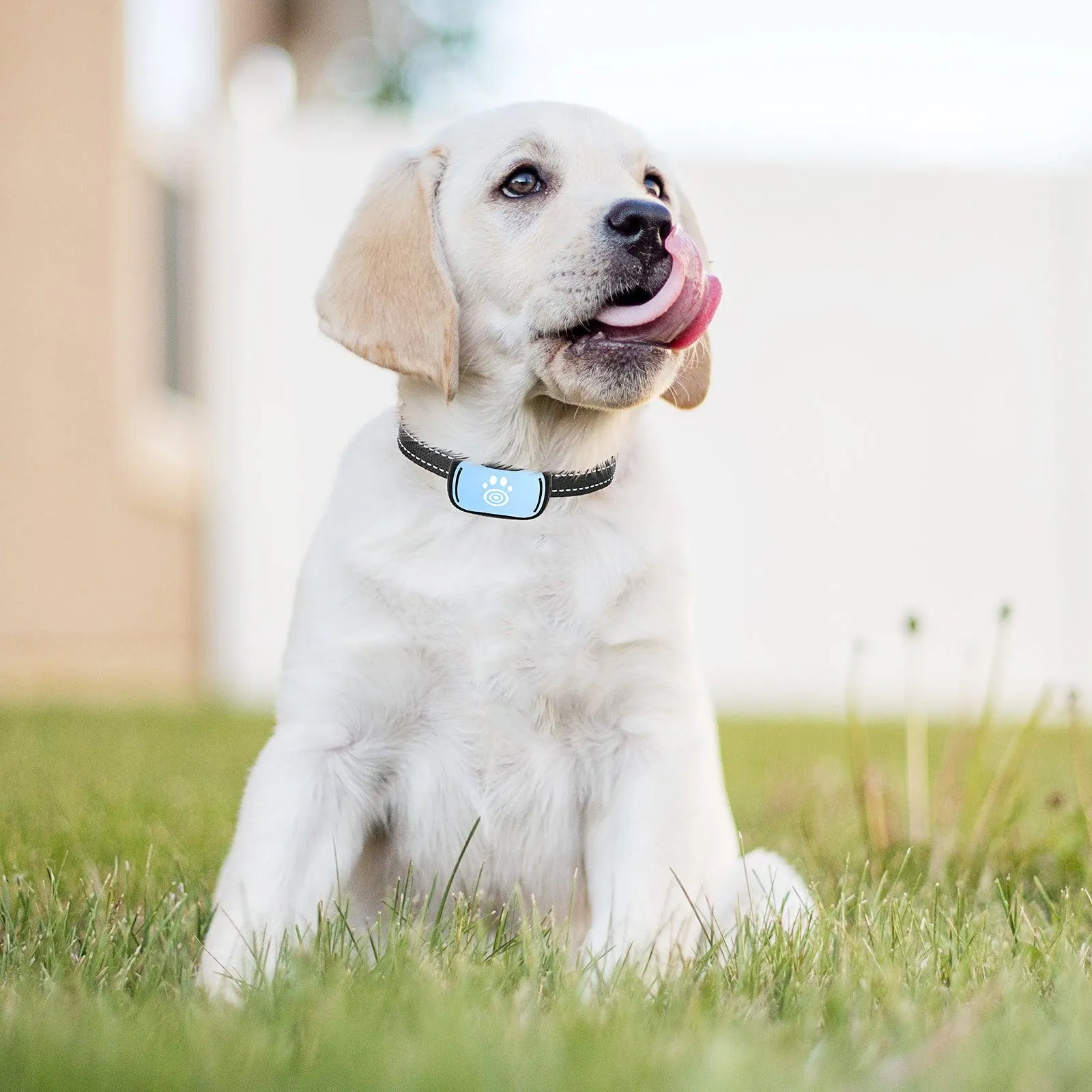 Masbrill No Shock Small Dog Bark Collar Most Humane Stop Barking Collar Control Device-PET687V