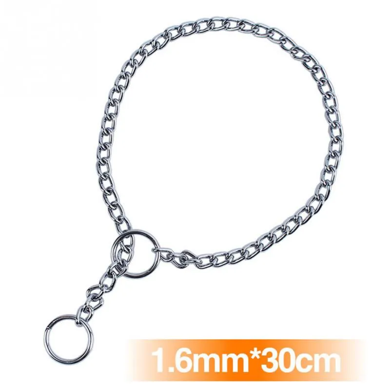 Metal Stainless Steel Chain Dog Collar Double Row Chrome Plated Training Show Collar Adjustable Safety Control