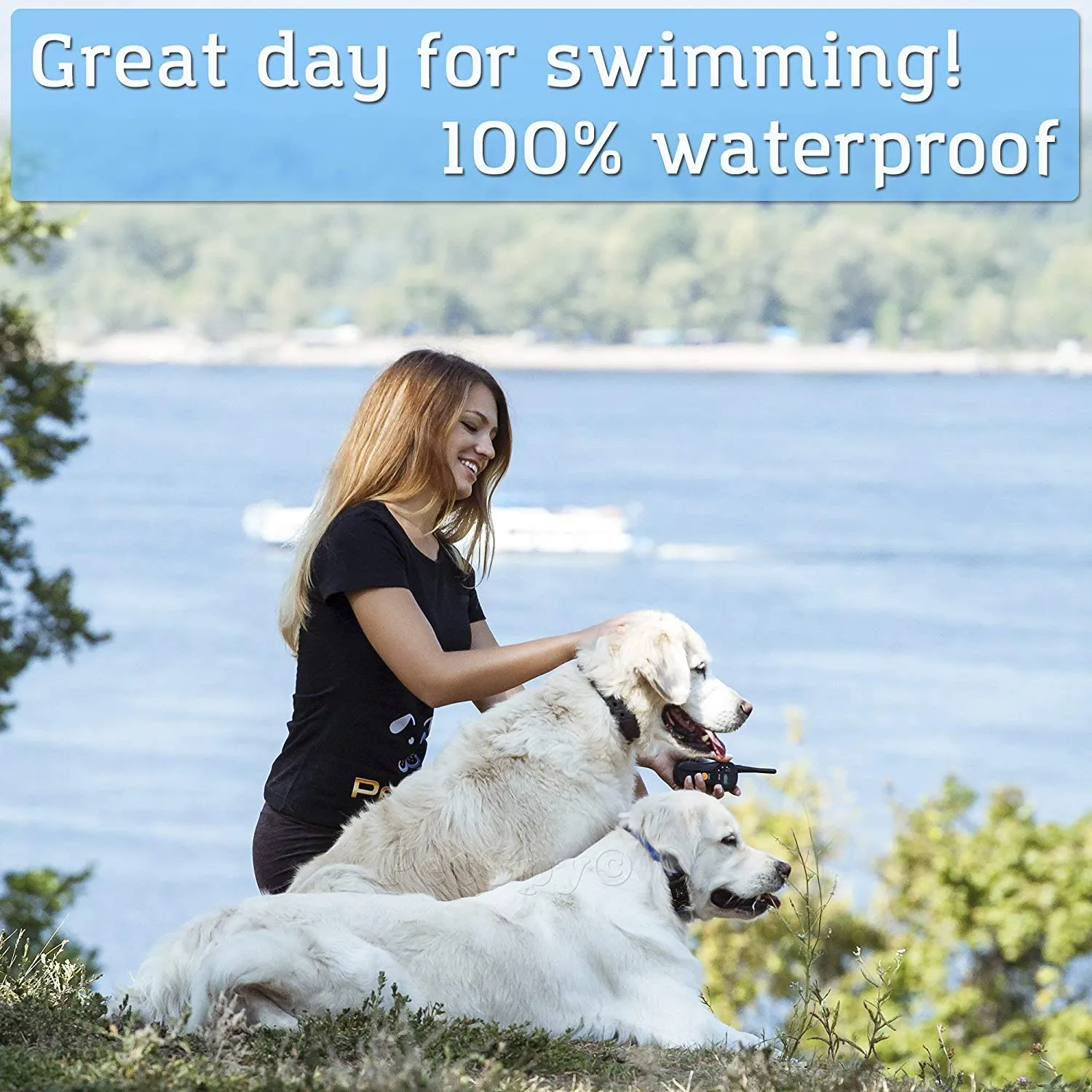 P420 Waterproof shock collar - Shock collar for large dogs/medium dogs