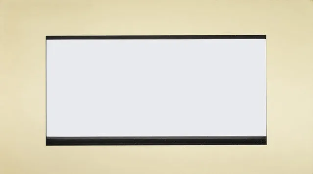 Screwless 4G Modular Faceplate