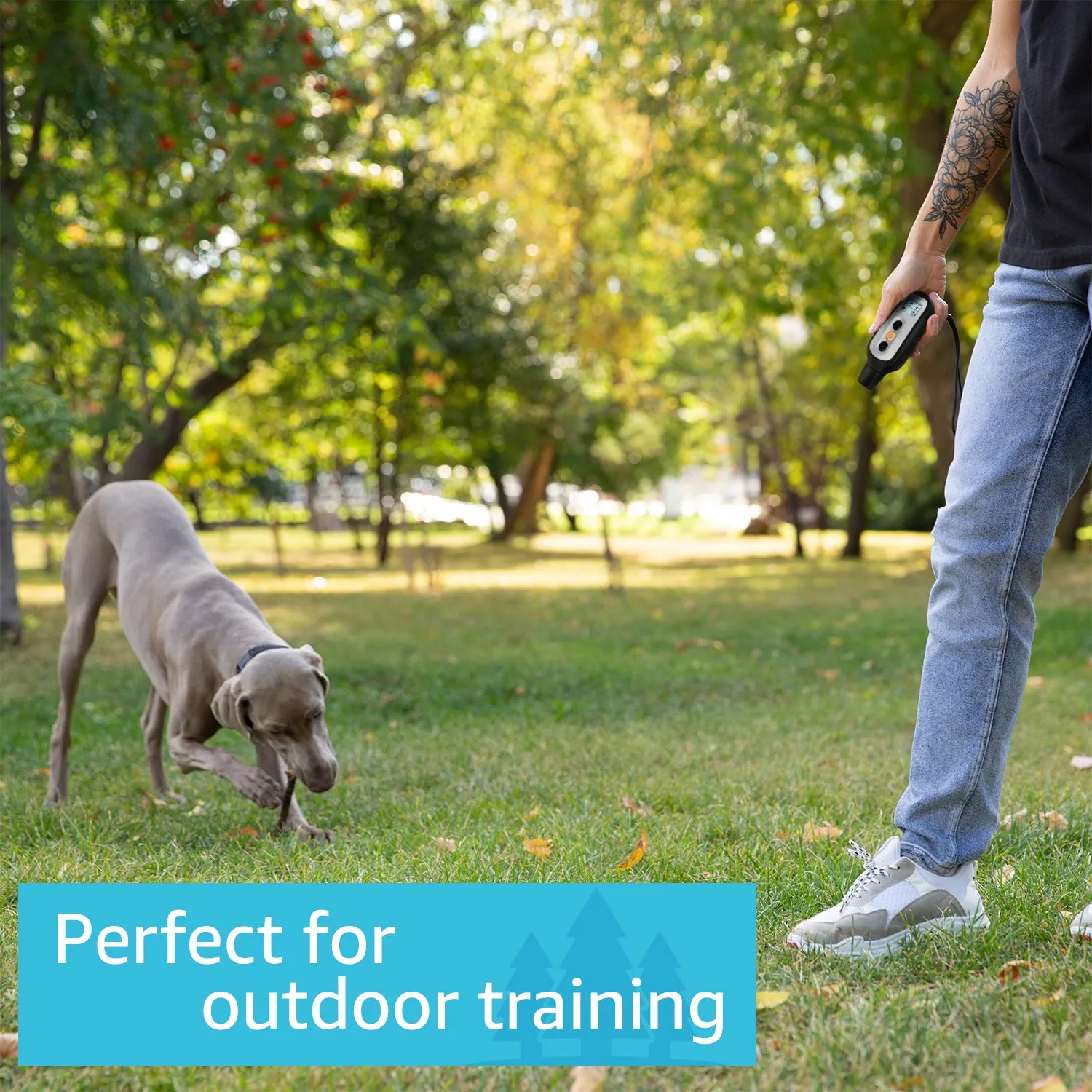 XPro 3 Dog collar - Shock collar for 3 dogs
